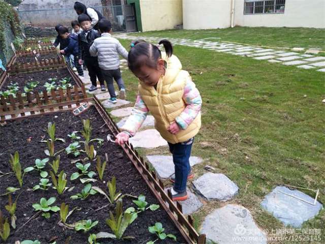 “绿化环境 从我做起 ”上饶市第二保育院开展植树节主题教育活动