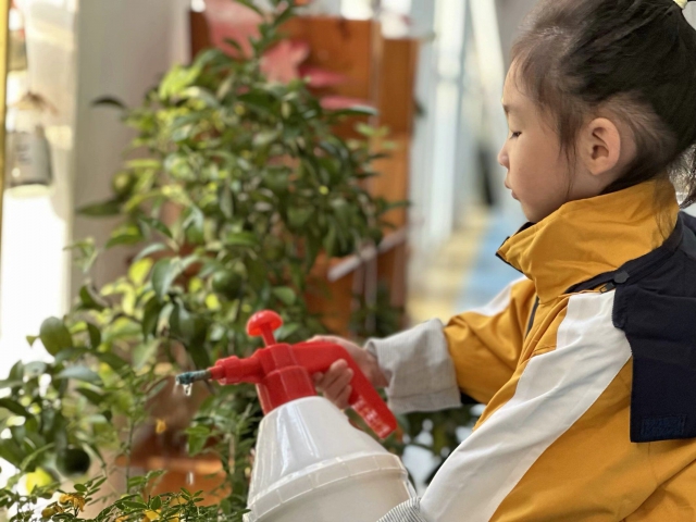 第5周—植物角